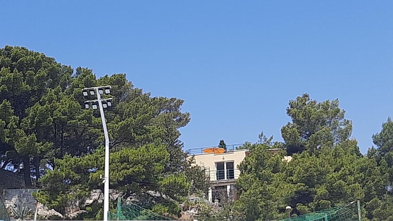 Apartment Old Captain's - In A Pine Wood By The Sea And Tennis Courts Split
