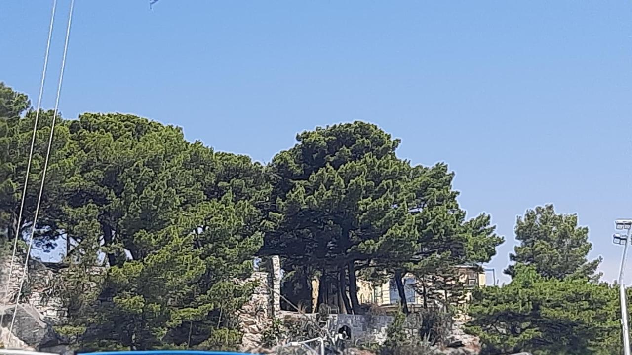 Old Captain's - In A Pine Wood By The Sea And Tennis Courts *