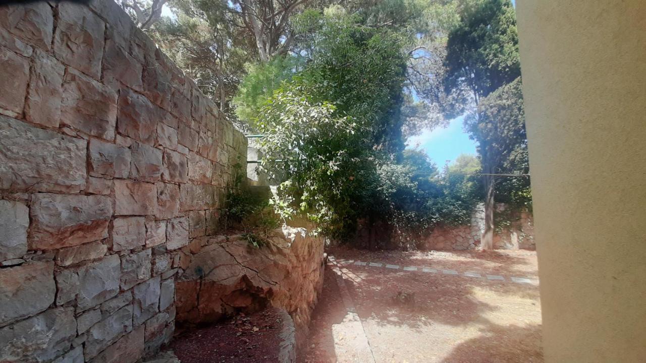 Old Captain's - In A Pine Wood By The Sea And Tennis Courts
