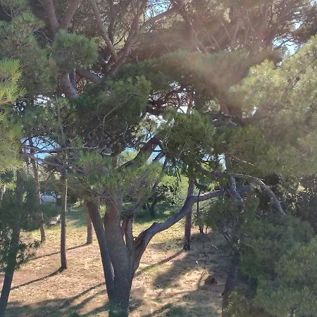 Old Captain'S Apartments - In A Pine Wood By The Sea And Tennis Courts Split Extérieur photo