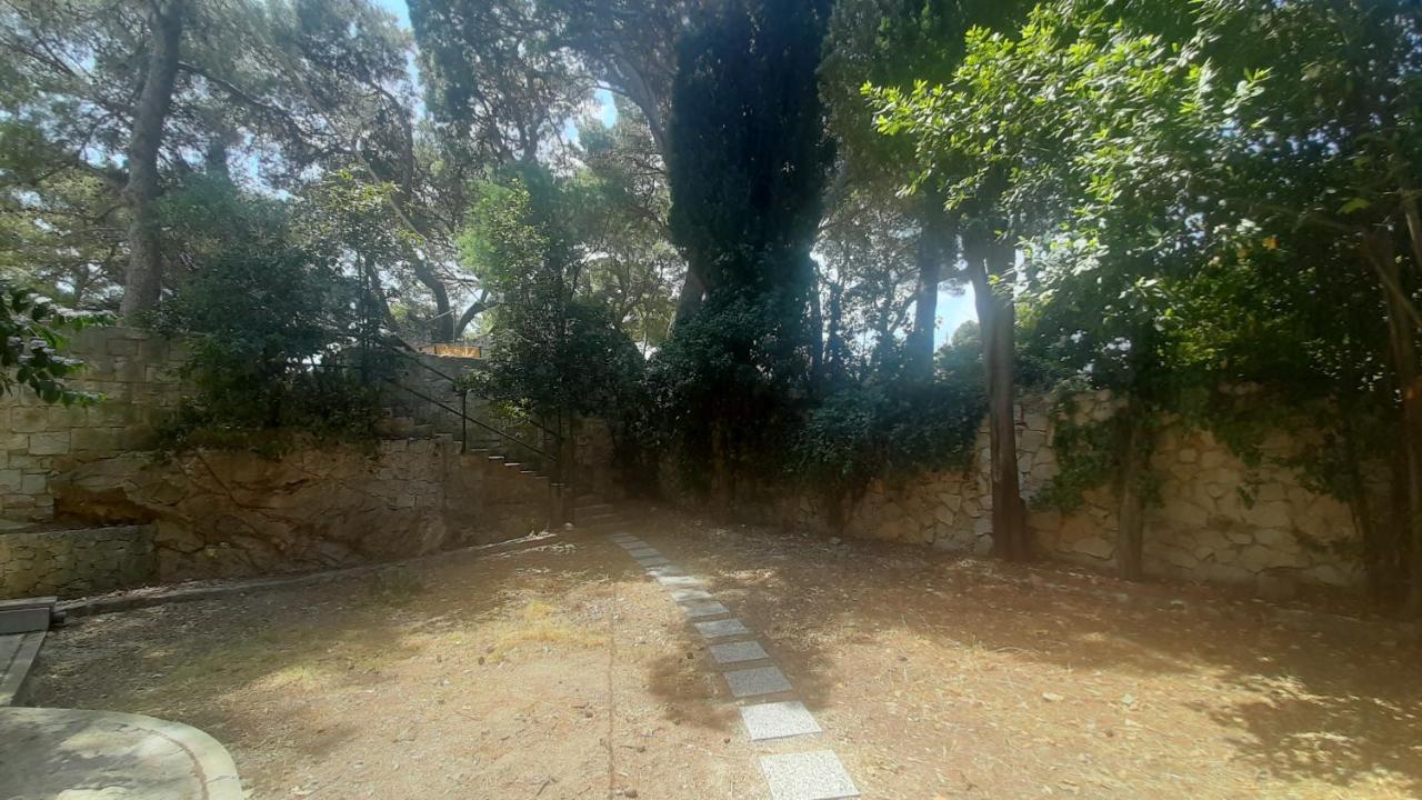 Old Captain's - In A Pine Wood By The Sea And Tennis Courts Apartamento *