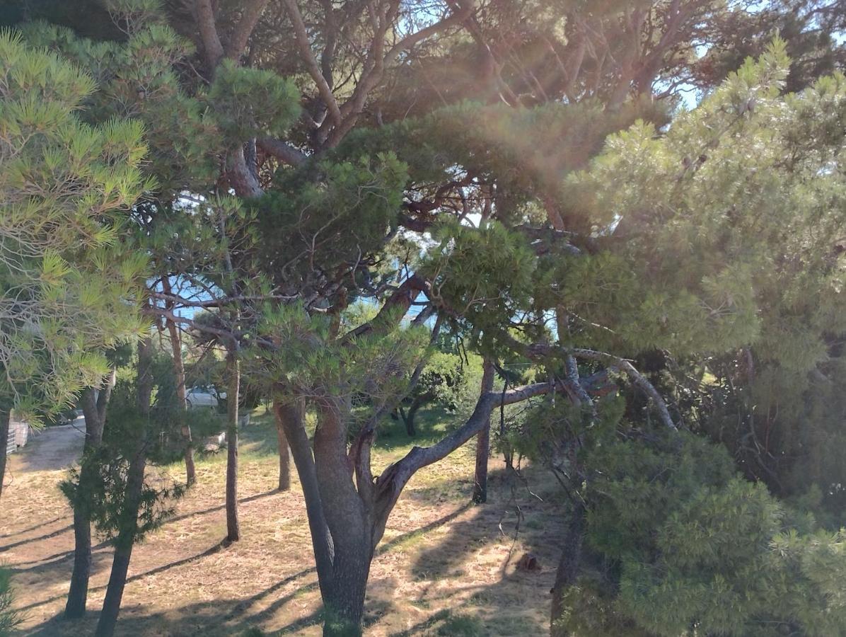 Old Captain's - In A Pine Wood By The Sea And Tennis Courts Apartment Split